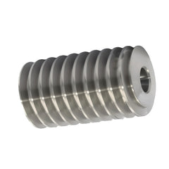 Steel Worm Gear MOD 1, 2 Starts (BSWB10/2R)